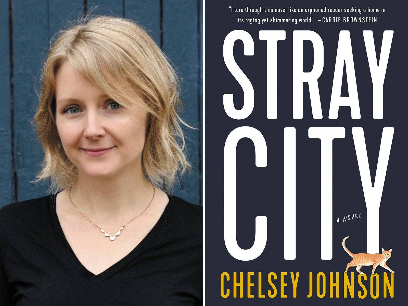 stray city by chelsey johnson