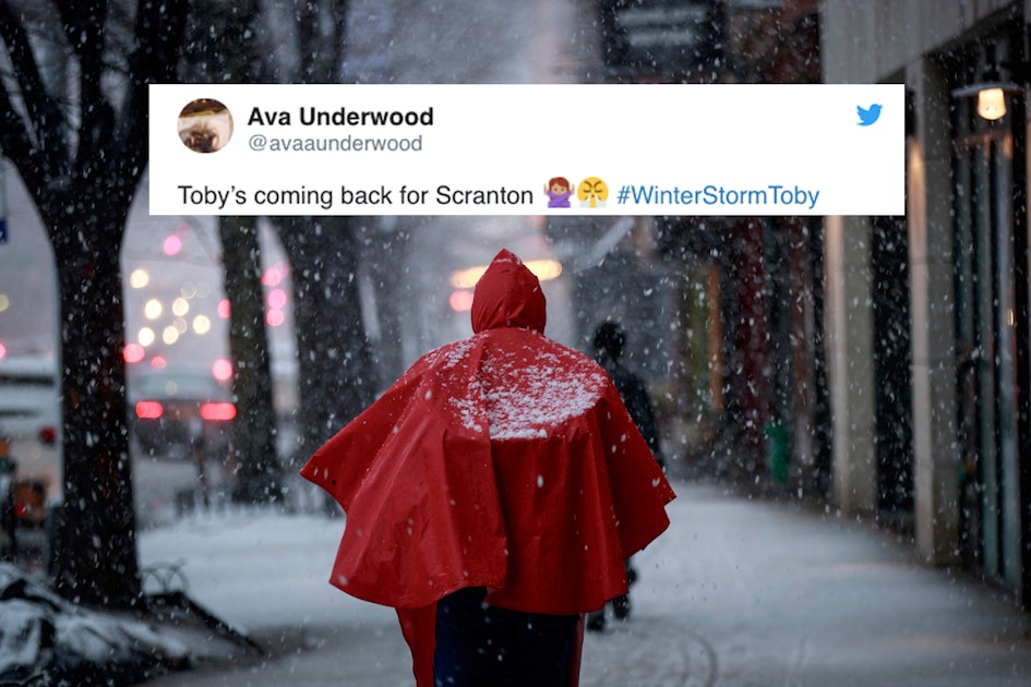 People are blaming Toby from 'The Office' for this dreadful winter storm