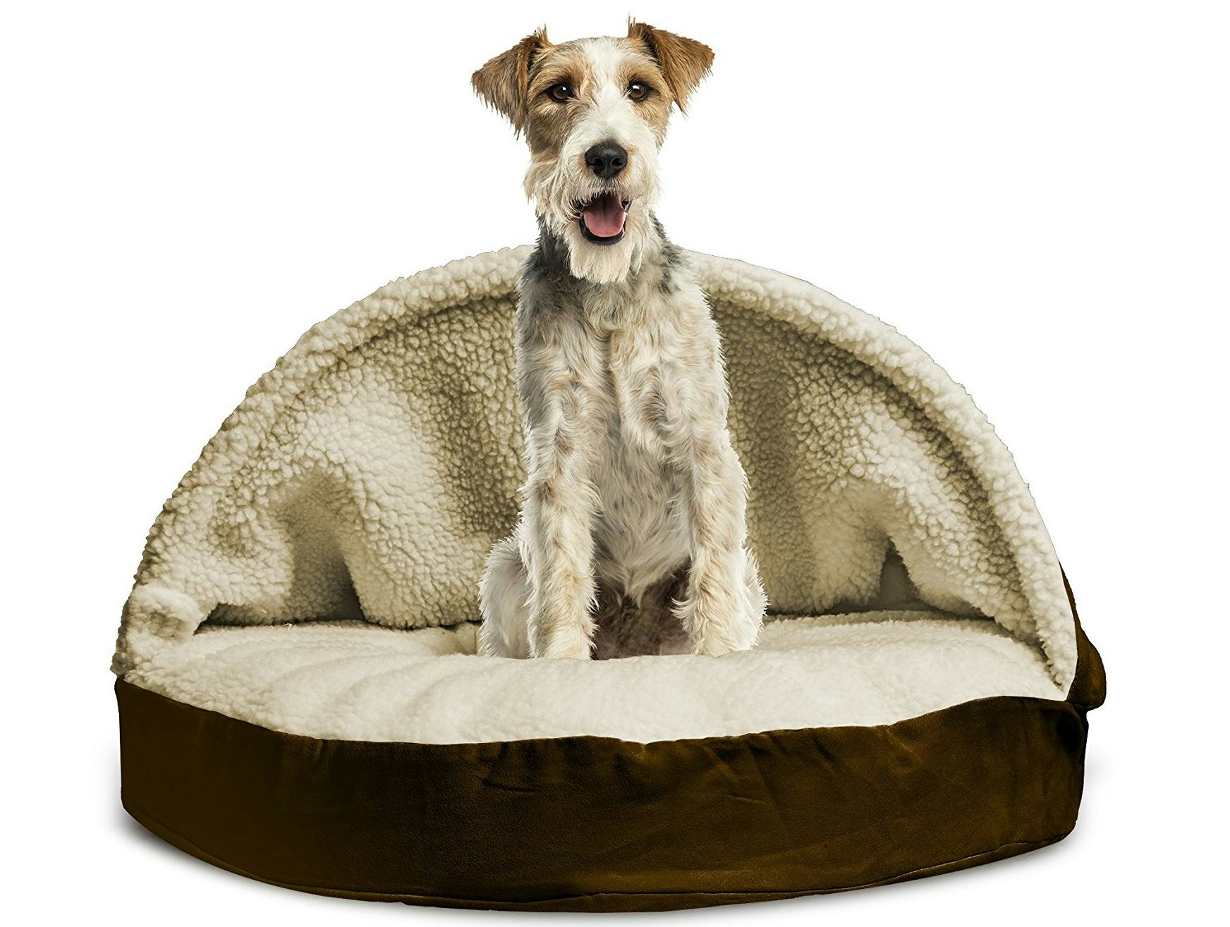 The 9 Best Dog Beds