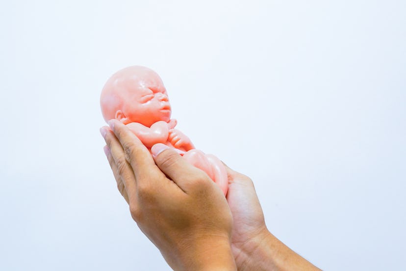 Image of an infant baby
