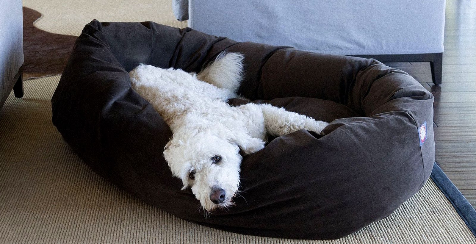 The 9 Best Dog Beds