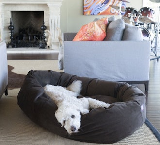 Majestic Pet, Suede Dog Bed