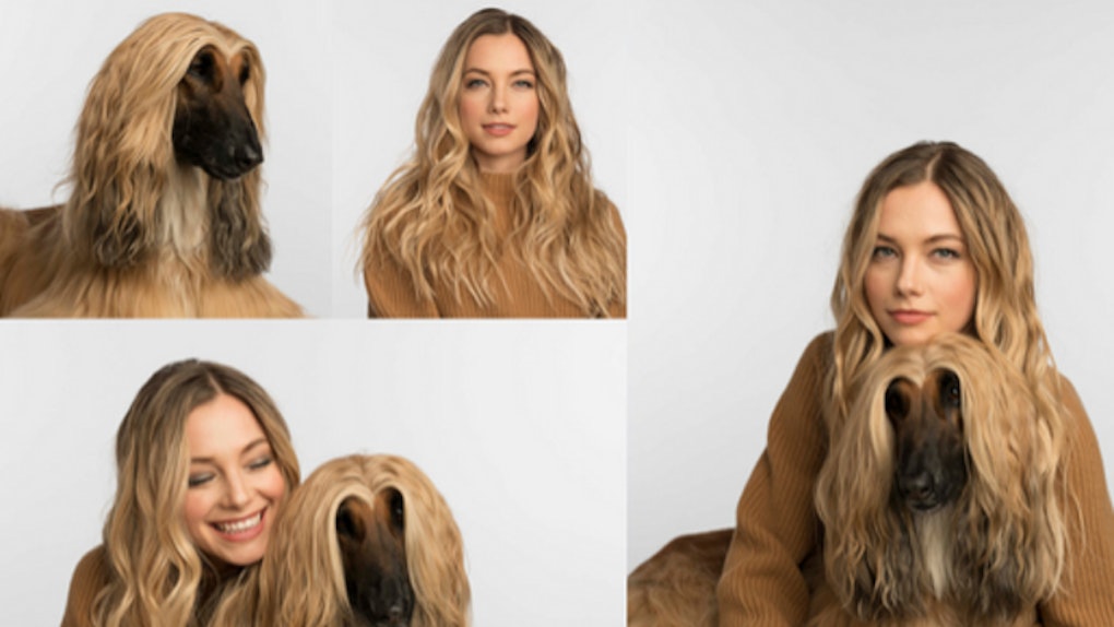 How To Match Your Dog According To Pet Friendly Beauty Experts