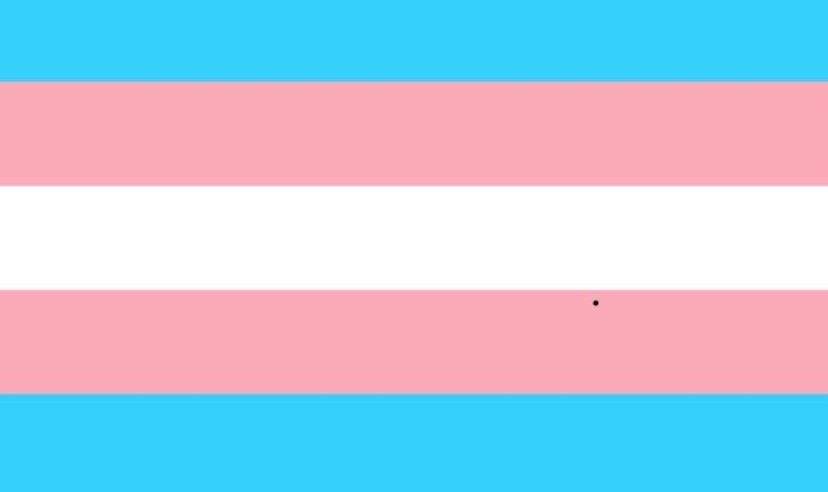 Transgender Legal Defense & Education Fund supports trans rights