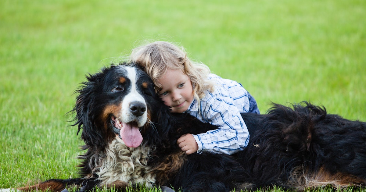 7 Large, Kid-Friendly Dog Breeds That Prove Gentle Giants Are Real