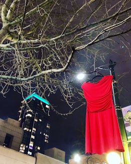 A red dress hanged on a tree next to a lamppost