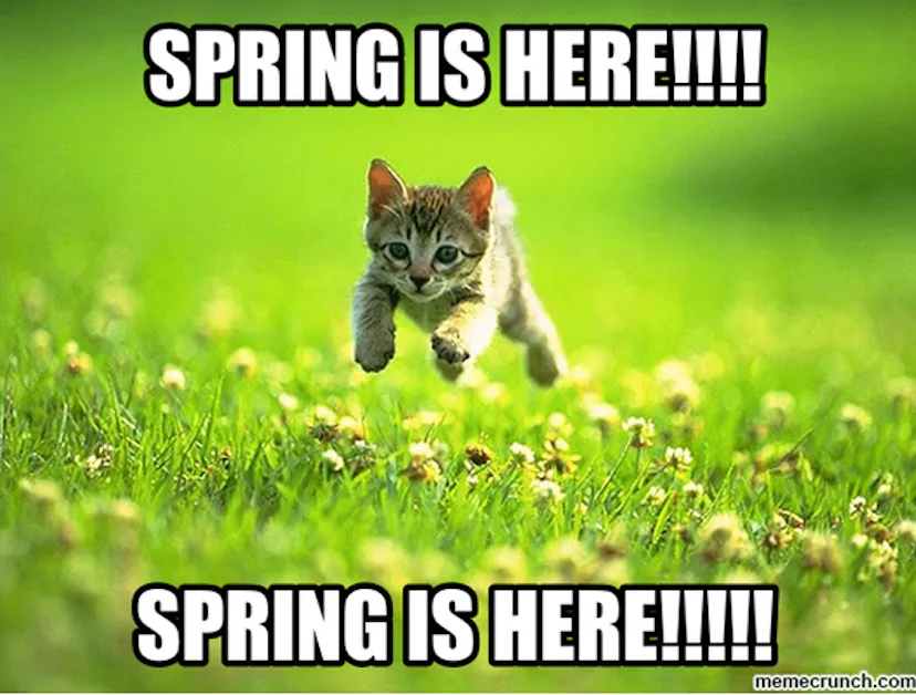 11 First Day Of Spring 2018 Memes That Capture Just How Desperate ...