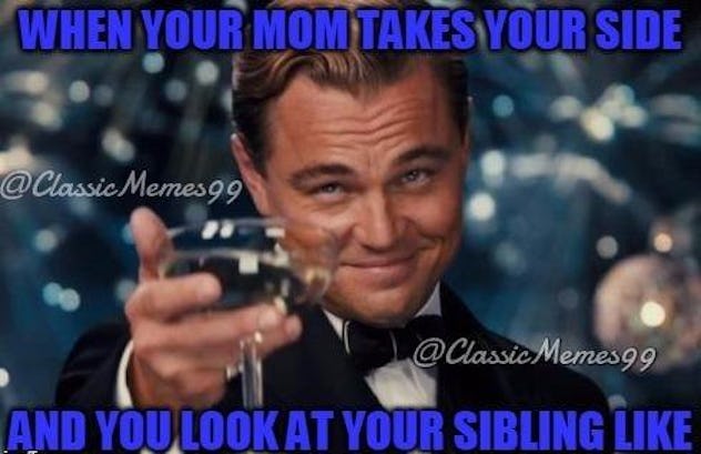 12 Hilarious Sibling Rivalry Memes For National Siblings Day: It's ...