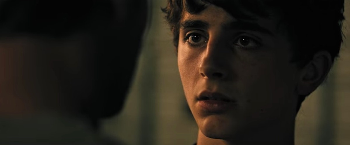 The Hot Summer Night S Trailer Features Timothee Chalamet And It Looks Wild