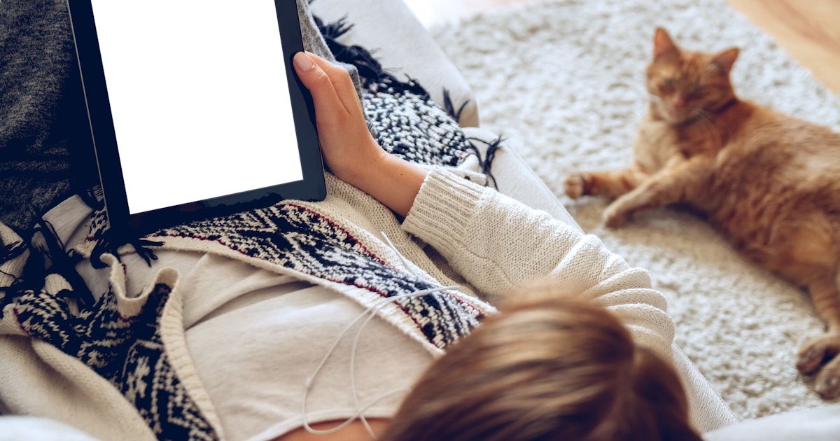 Does My Cat Like Me 13 Signs Your Furry Friend Is Your Biggest Fan