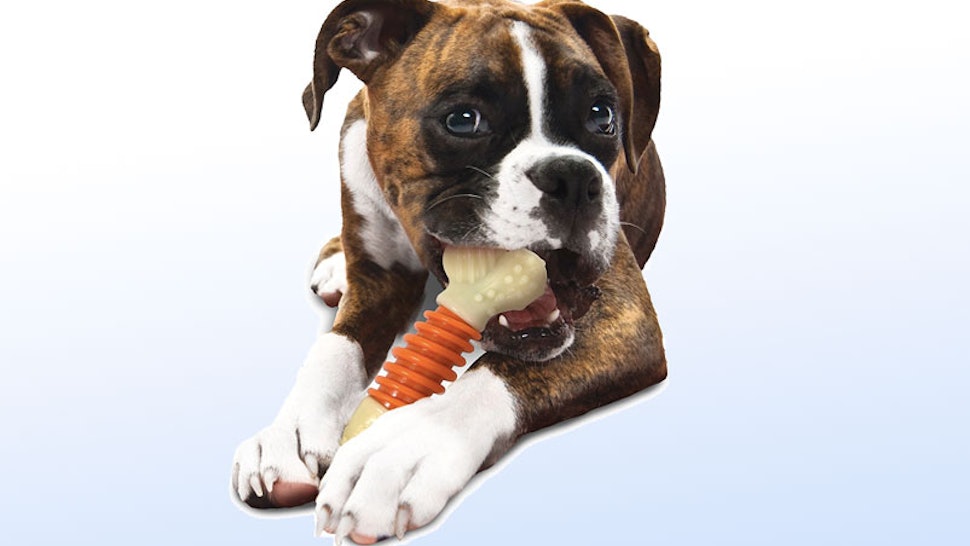Best Big Dogs >> The 7 Best Toys For Big Dogs Best Big Dogs >> The 7 Best Toys For Big Dogs