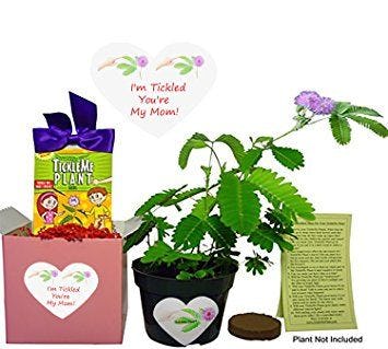 10 Amazon Prime Mother's Day Gifts That Are Guaranteed To Make Her Feel