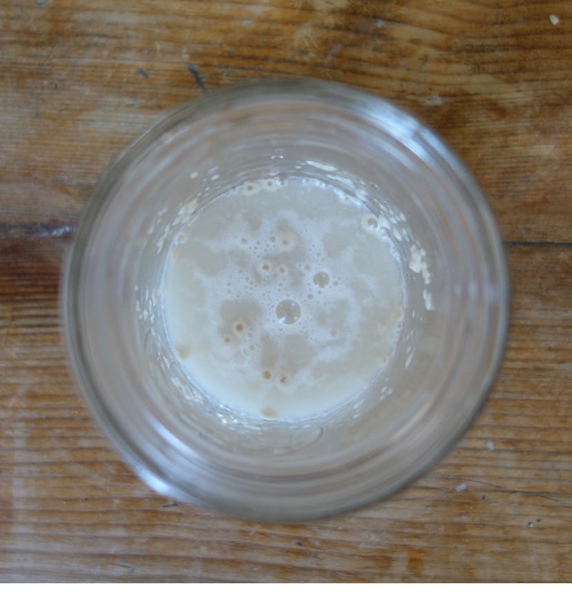 Step 1 of  making a single bagel - honey, water, and yeast