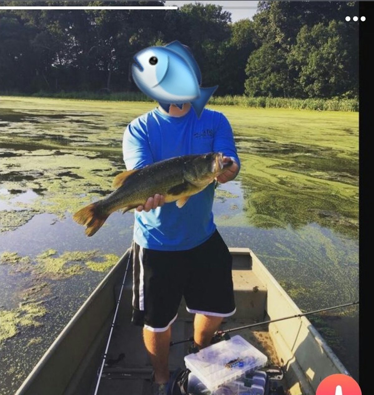 To catch a fish dating site