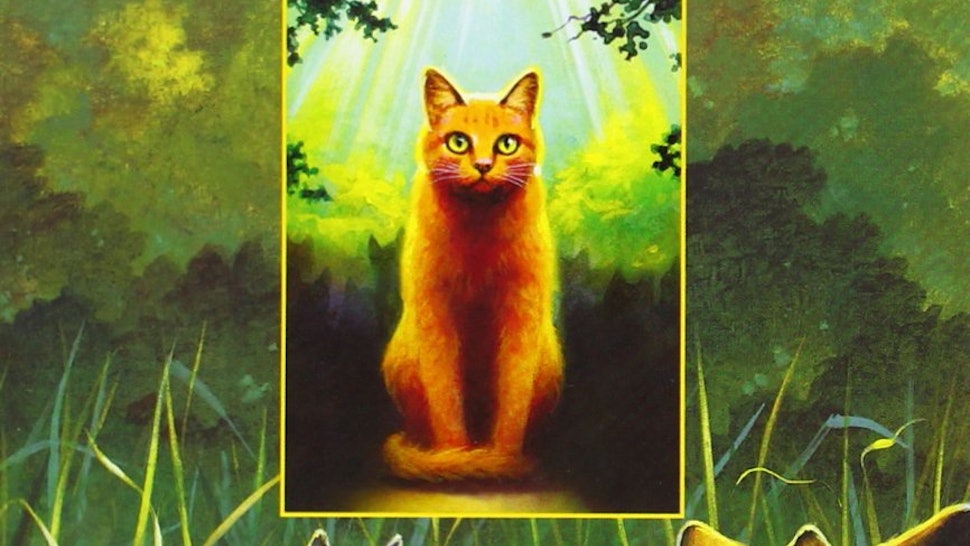 Warrior Cats Movie Trailer Release Date