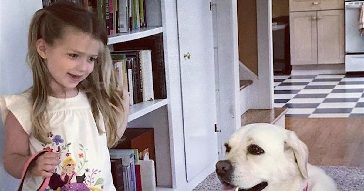 Do dogs think you are their mother