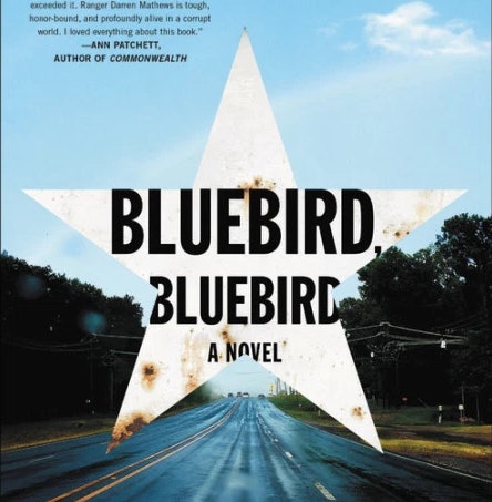 bluebird bluebird by attica locke summary
