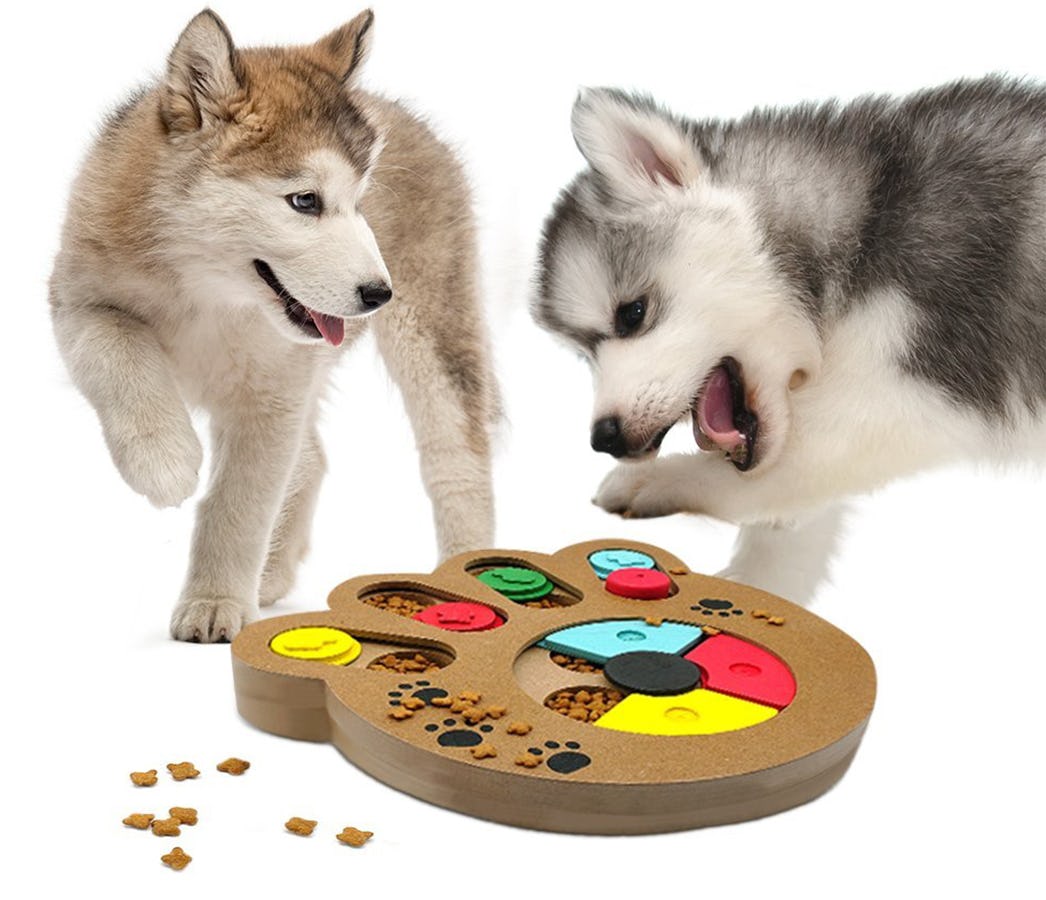 7 Puzzle Toys For Puppies