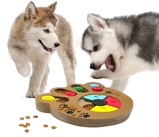 SunGrow Unique Shuffle Puzzle Smart Toy For Puppies