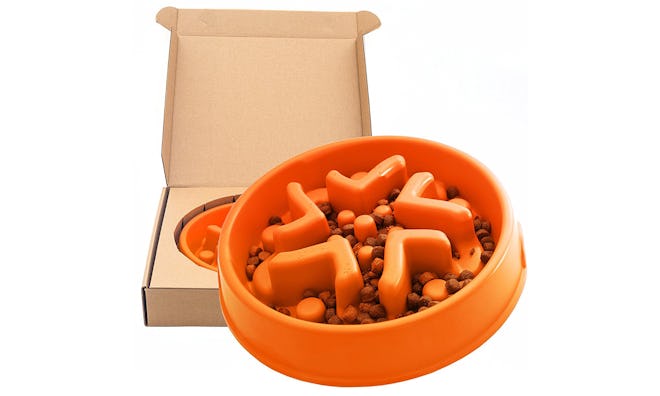 Simply Pets Online Slow Feeder Bowl