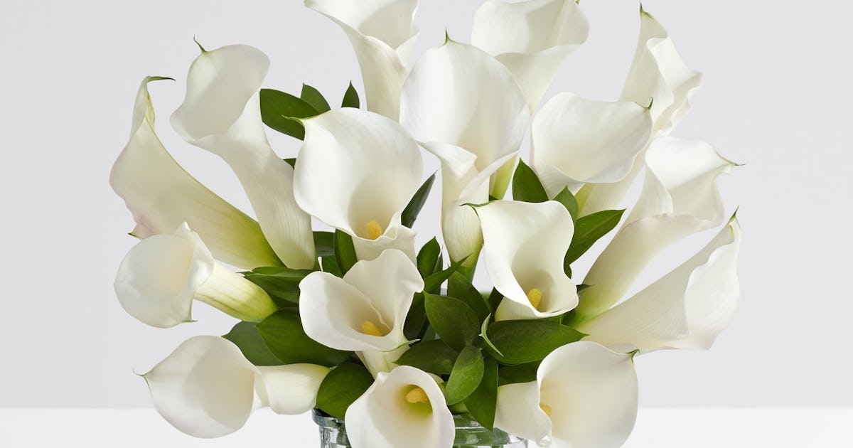 This ProFlowers Discount Code For 20 Percent Off Makes Their ...