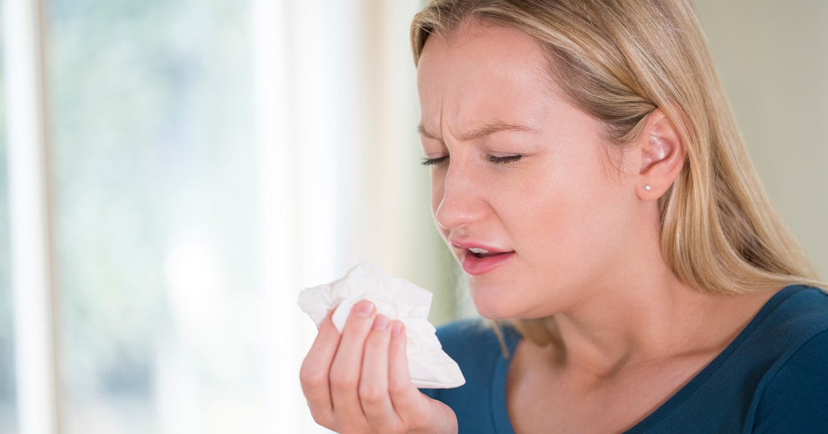 How To Make Yourself Sneeze When Nothing Else Is Working How to make yourself sneeze when nothing else is working