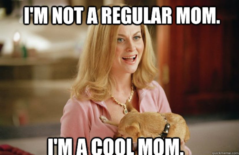 A meme with a woman holding her puppy and caption "I'm not a regular mom, I'm a cool mom."