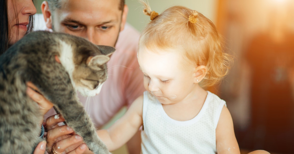 6 Signs You Should Re-Home Your Pet, According To Experts