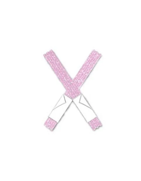 7 Millennial Pink Things To Get For Your Disney Trip That'll Upgrade ...