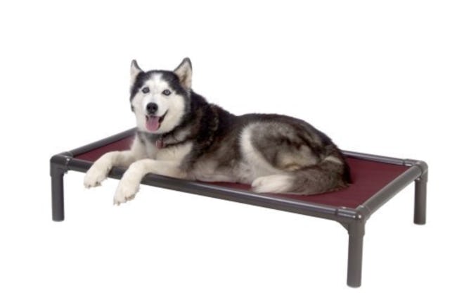 Kuranda, Chewproof Walnut PVC Dog Bed