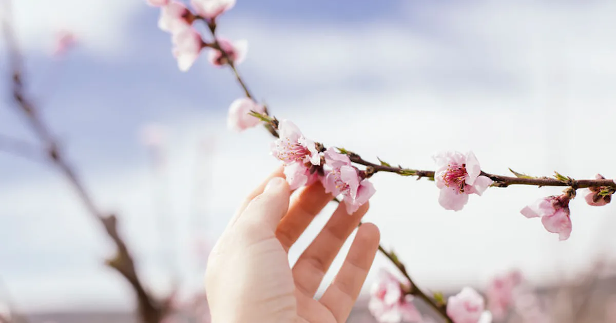 Tree Exploding With Pollen This Video Of A Tree Exploding With Pollen Will Probably Make You ...