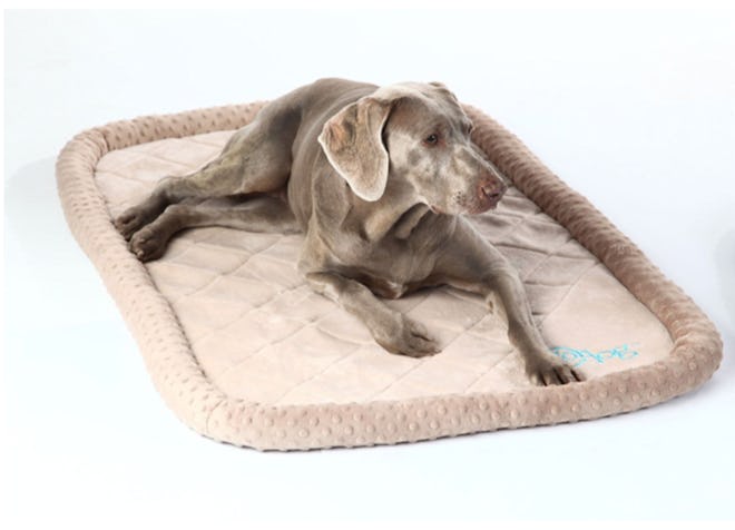 GoDog, Bed Bubble Bolster With Chew Guard Technology