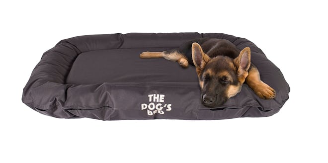 The Dog's Balls, Water Resistant Dog Bed