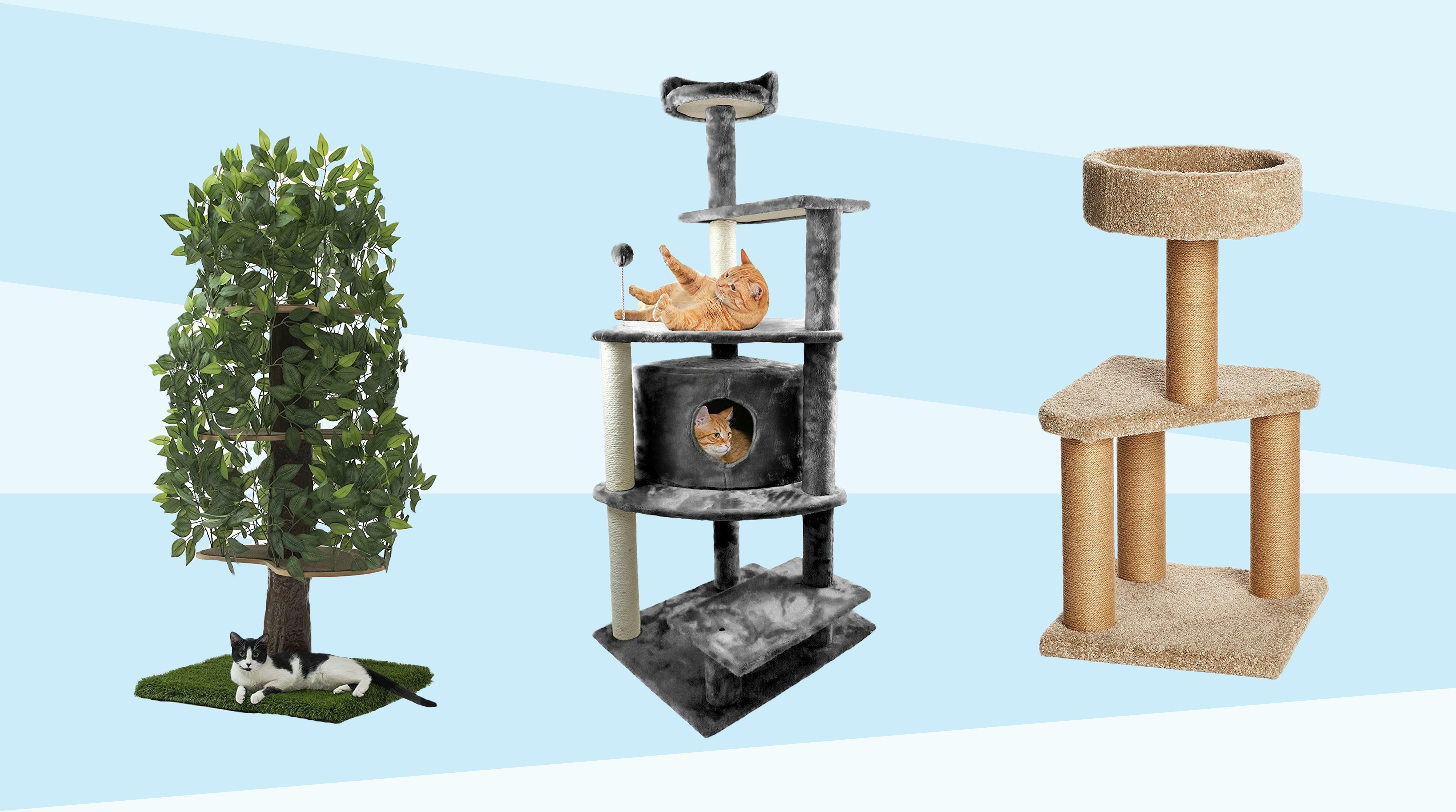 The 6 Best Cat Trees