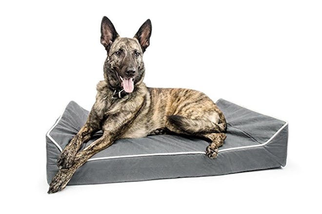 Titan, Chew-Resistant Dog Bed