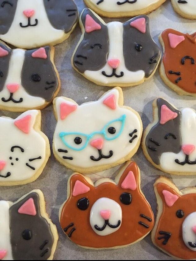 11 Cat Birthday Party Ideas That Will Honestly Beat Any Human Party ...