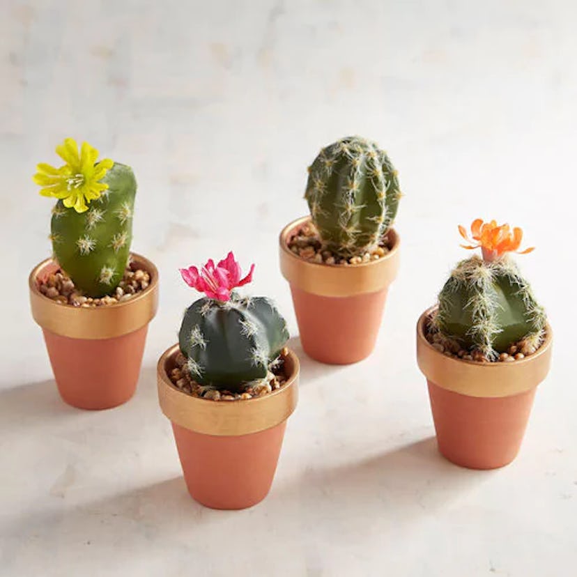 It's all the fun of a real cactus without the need for water, sunlight, or risk of pricking your fin...