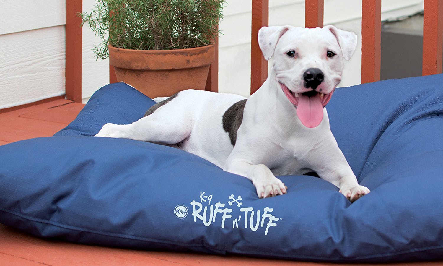 The 6 Best Dog Beds For Chewers