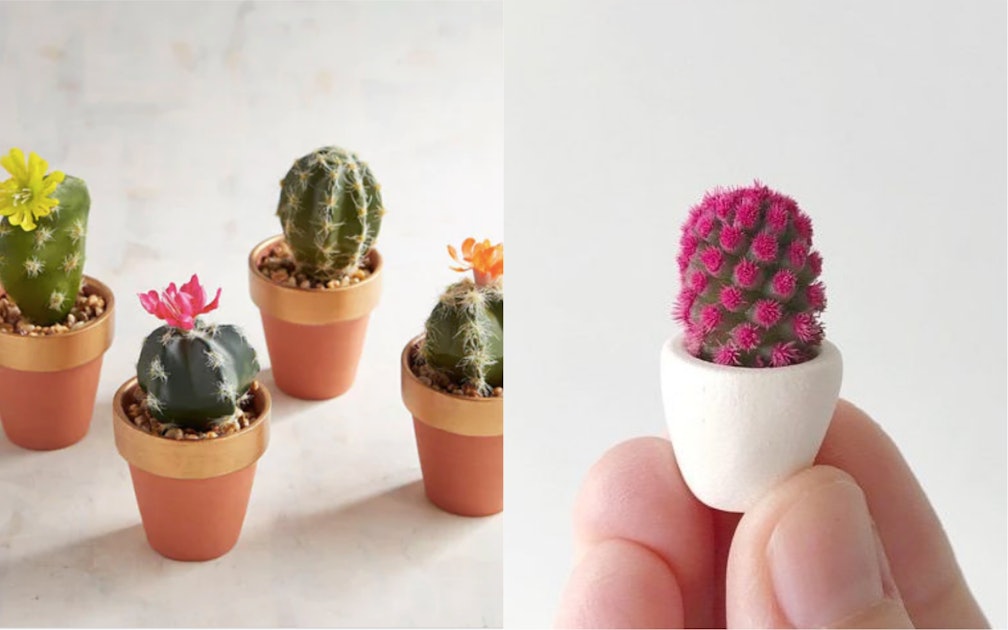 A Micro Cactus Trend Has Sprouted From Our Obsession With Succulents They Are Just Too Cute