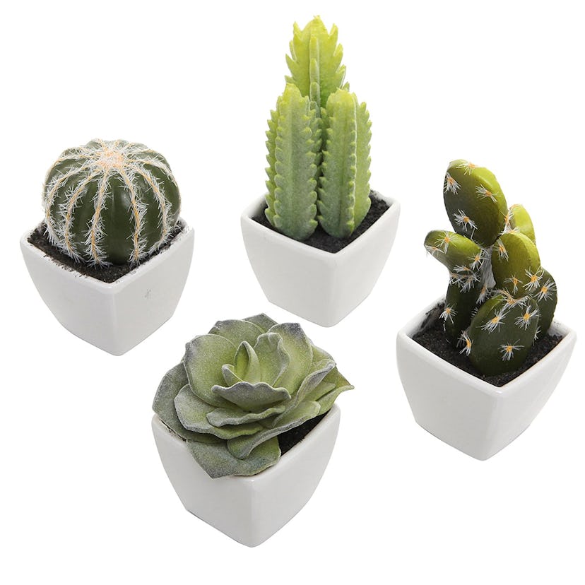 This set of faux cacti includes miniature versions of a rose succulent, a prickly pear cactus, a bal...