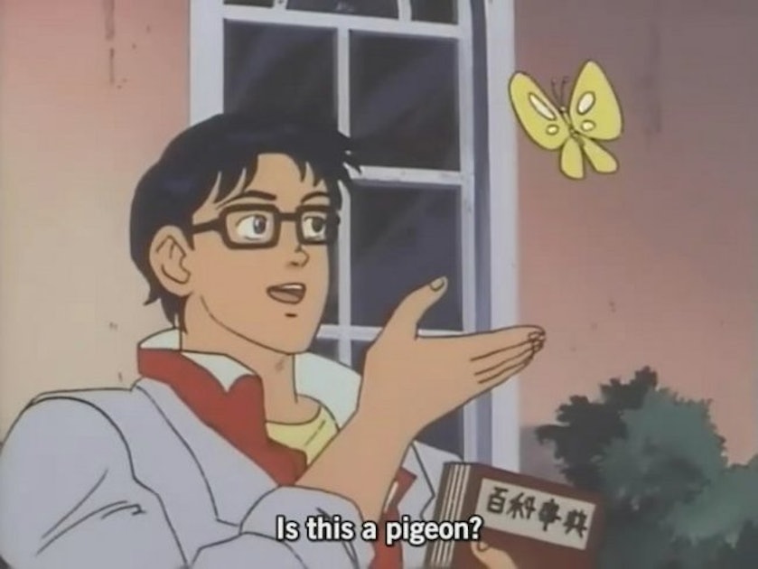 How To Make Your Own "Is This A Pigeon?" Meme, Because It Is So Easy