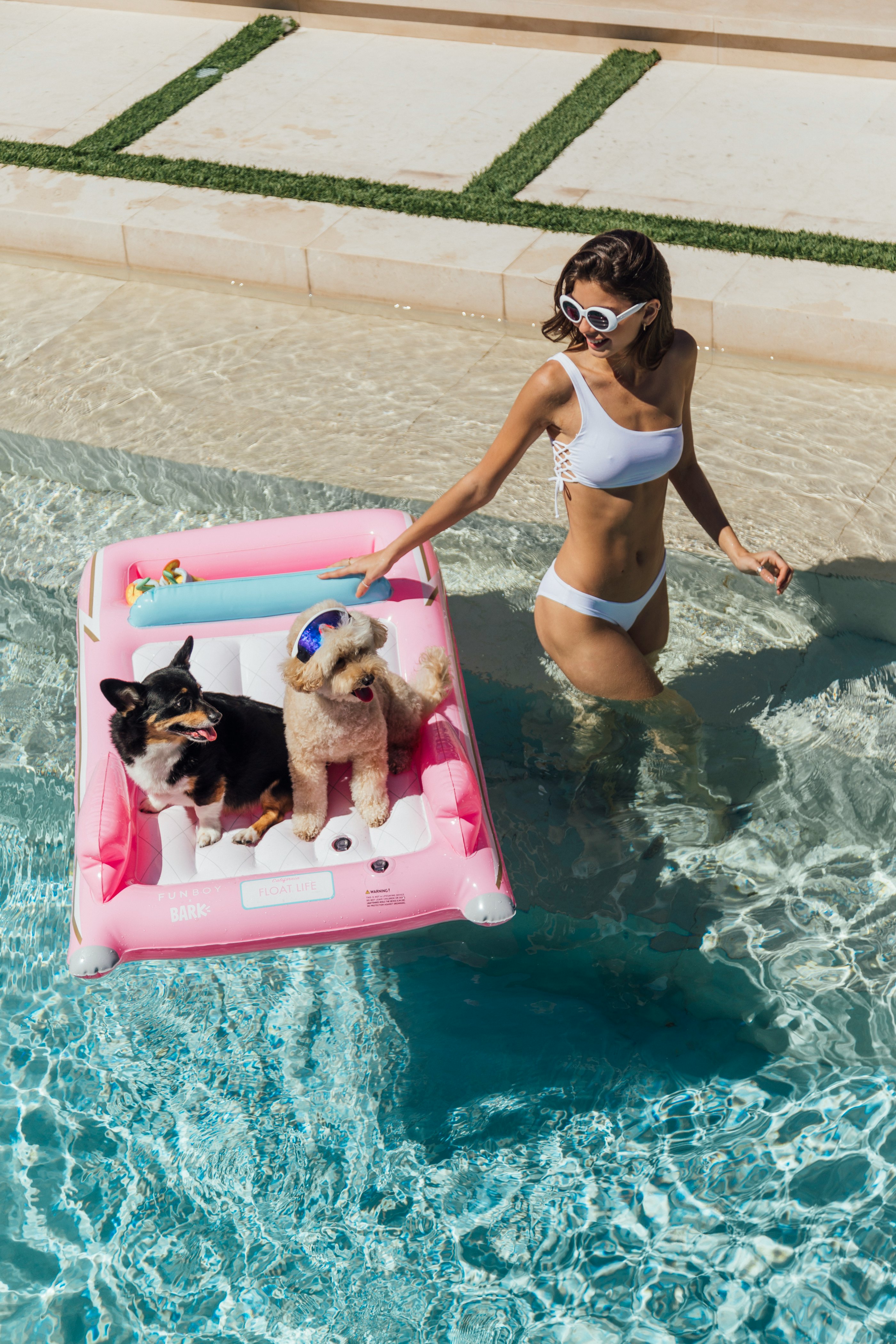 dog pool floaties