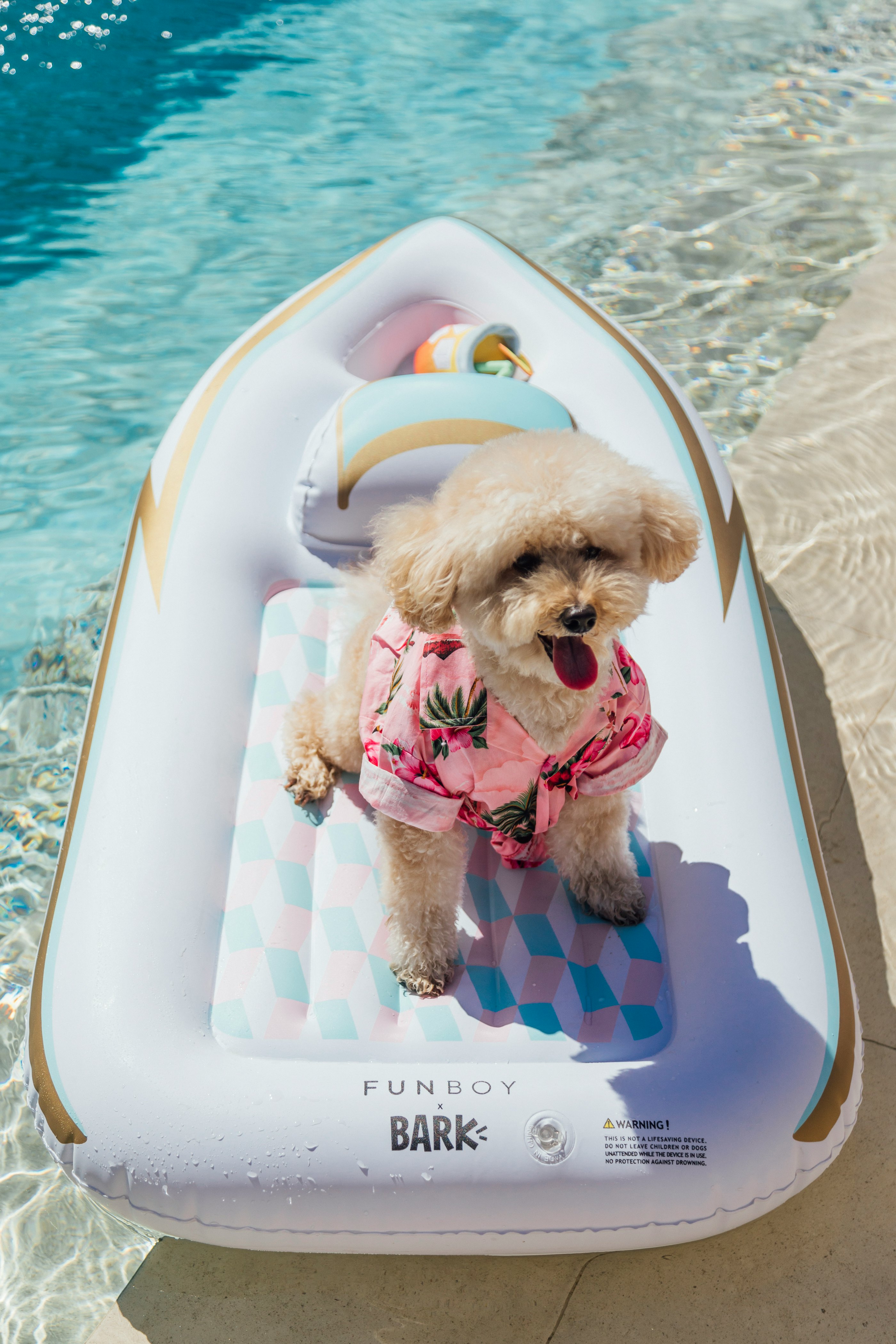 small dog pool float