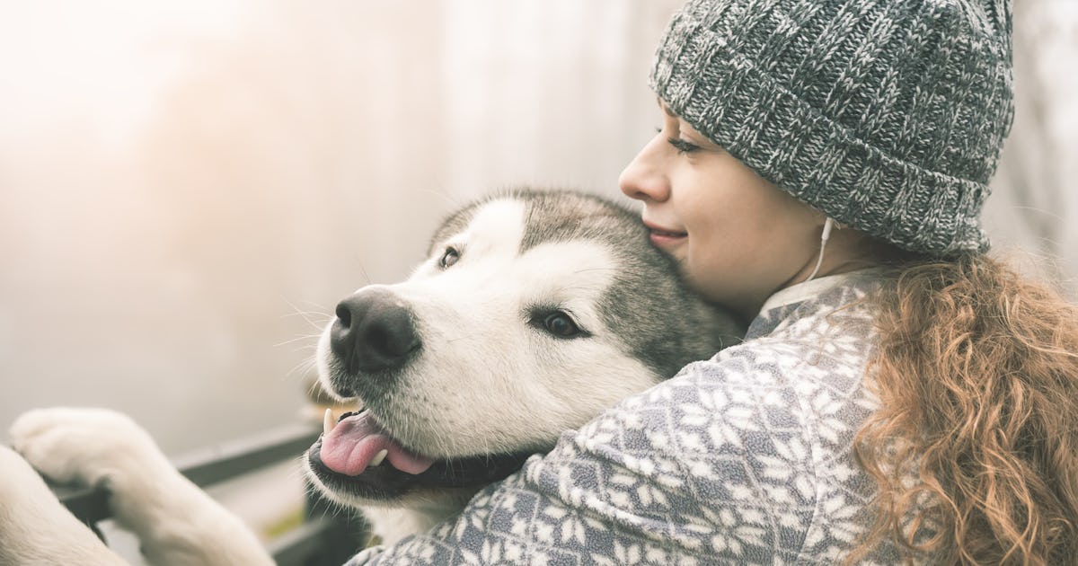 How Do Emotional Support Animals Help People 7 Benefits Of ESAs how-do-emotional-support-animals-help-people-7-benefits-of-esas