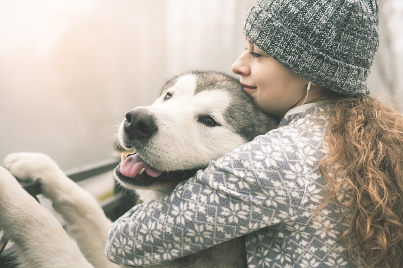 How Do Emotional Support Animals Help People 7 Benefits Of Esas