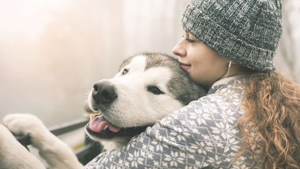 How Do Emotional Support Animals Help People 7 Benefits Of Esas
