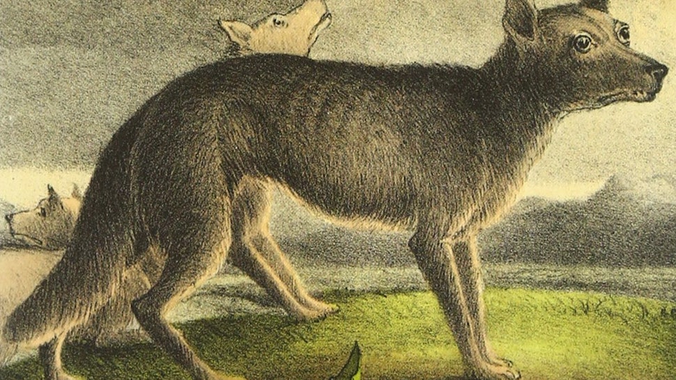 11 Fantasy Short Stories You Can Read Online For Free