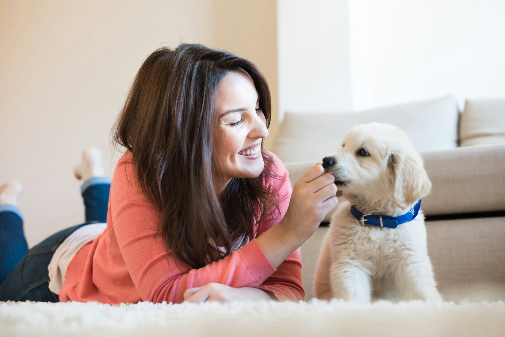 How Do Emotional Support Animals Help People? 7 Benefits Of ESAs