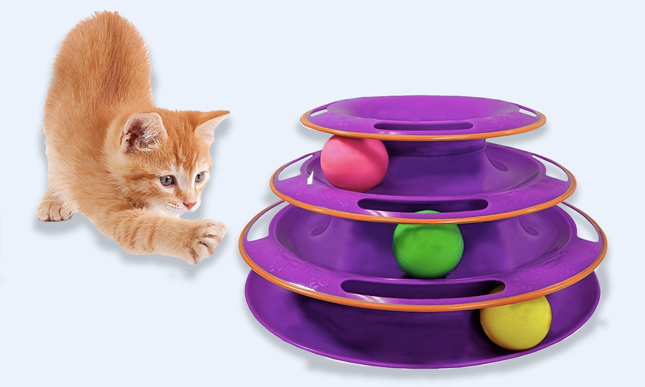 The 8 Best Cat Toys To Keep Them Busy   192aad01 Dbe8 490a 97c7 4908943b313b Bestcattoys 