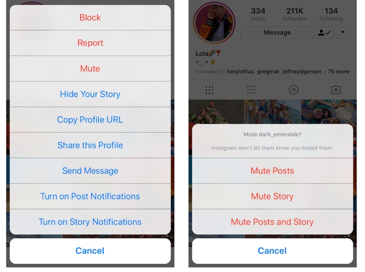 how to mute someone on instagram without unfollowing them thanks to this new app update - instagram cant follow after unfollowing
